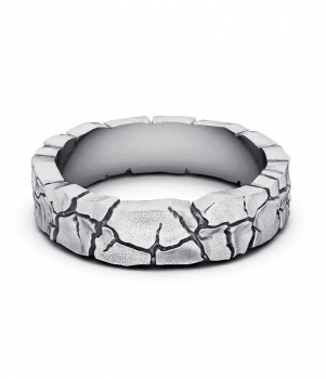 Тематическое кольцо "Земля" (Мод. 519)